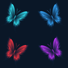 Obraz premium Set of multicolored butterflies. Isolated for decoration and design. Vector illustration.