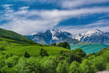 Beautiful view of alpine meadows in the Caucasus mountains. Pastures, meadows on the slopes and snow-capped mountains.