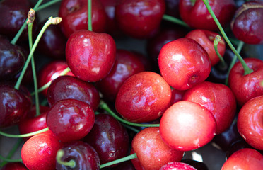 Cherries up close