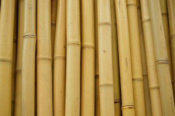 Fototapeta premium Asian bamboo fence wall material