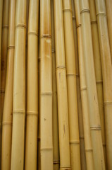 Fototapeta premium Asian bamboo fence wall material