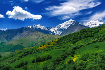 Beautiful view of alpine meadows in the Caucasus mountains. Pastures, meadows on the slopes and snow-capped mountains.