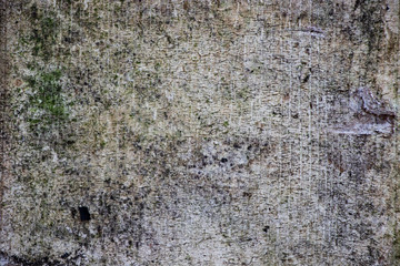 Green Rough grunge vintage background distressed weathered dirty old texture