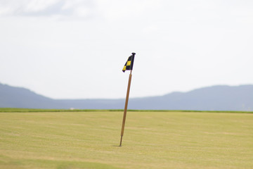 Golf Green. With red golf flag 