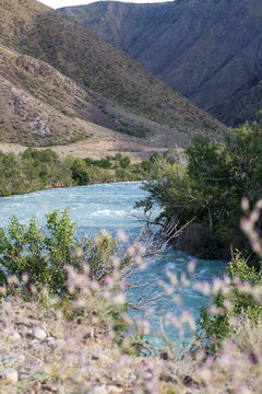 Stormy Chilik River in the steppes of Kazakhstan