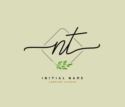 N T NT Beauty vector initial logo, handwriting logo of initial signature, wedding, fashion, jewerly, boutique, floral and botanical with creative template for any company or business.