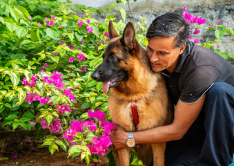 German Shepherd in Garden
