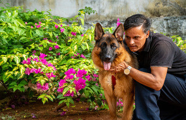 German Shepherd in Garden