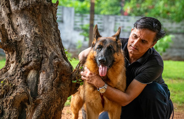 German Shepherd in Garden