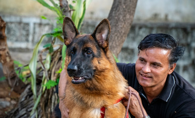 German Shepherd in Garden