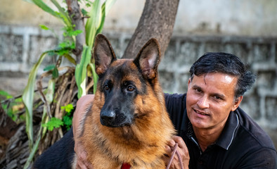 German Shepherd in Garden