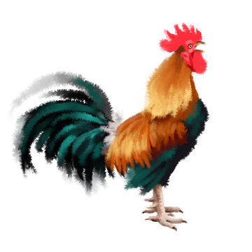 Coq Stock Photos And Royalty Free Images Vectors And Illustrations Adobe Stock