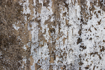 Rough grunge vintage background distressed weathered dirty old texture
