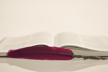 An old diary opened on the table and an ancient pen