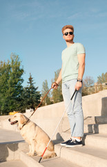Guide dog helping blind person with long cane going down stairs outdoors
