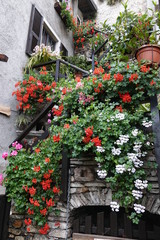 Viele Blumen schmücken eine alte Treppe