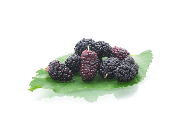 Mulberry berry with leaf isolated on white background