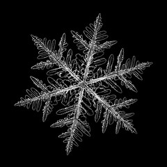 Snowflake isolated on black background. Illustration based on macro photo of real snow crystal: complex stellar dendrite with fine hexagonal symmetry, ornate shape and intricate inner details.