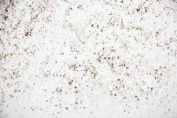 Grunge white wall texture background