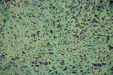 Green grunge paint weathered vintage grunge background texture
