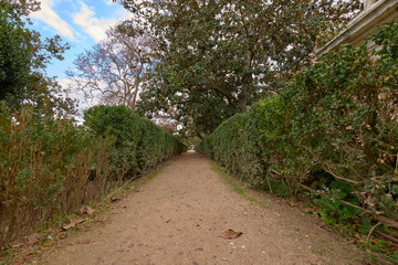 Trees in the garden of the Parterre in autumn