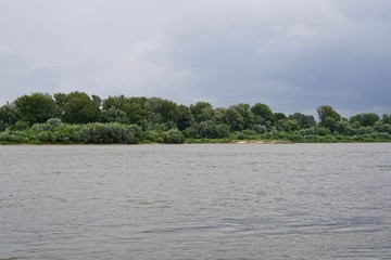 Flusslandschaft mit Wald (Warschau)