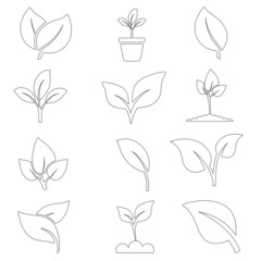 Green plant and leave color icons set vector. Green plant vector icon illustration.