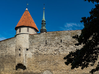 Wall and Tower, Toompea, Tallinn, Estonia