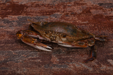 Raw crab - ready for cooking