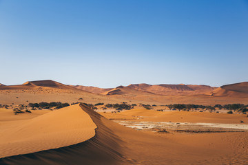 Fototapeta na wymiar Longue dune de sable orangée dans le désert en Namibie