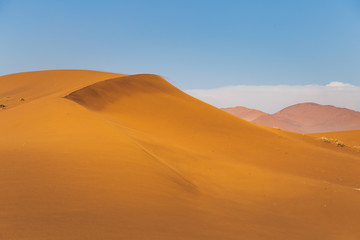 Superbe dune de sable et ciel bleu
