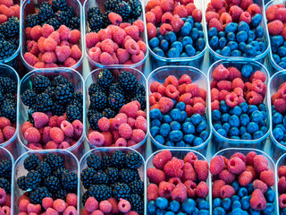 Berries, Central Market, Helsinki, Finland