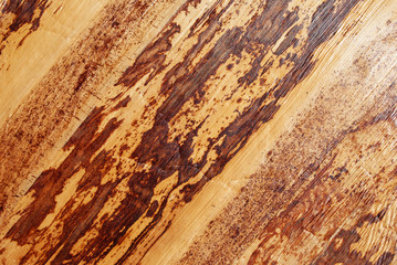 dry vine. wood pattern texture. background