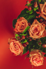 Obraz na płótnie Canvas Orange roses on a red background