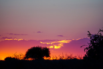 Landschaft in Namibia Afrika