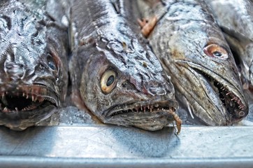 Close-up of fish in market