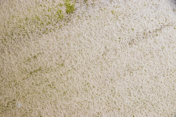 Moss Rough grunge vintage background distressed weathered dirty old texture