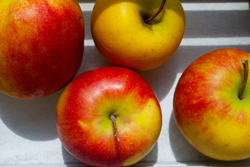 apples in a drawer. summer autumn. close-up