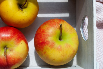 apples in a drawer. summer autumn. close-up