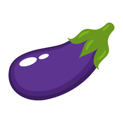 Eggplant on a white background. Vector illustration