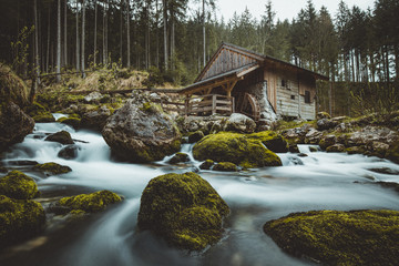 Fototapeta premium Old abandoned mill in mystic forest on a cloudy moody day
