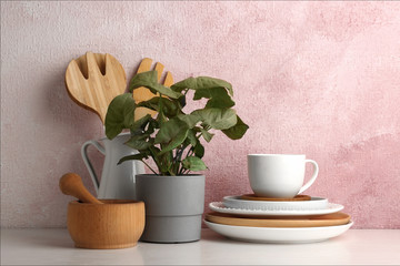 Green plant and different kitchenware on table near color wall. Modern interior design