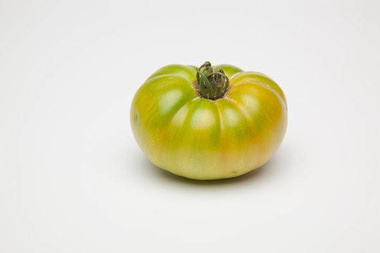 Tomate verde sobre fondo liso, tomate ecol&oacute;gico reci&eacute;n cogido de la mata, tomate verde para que madure fuera de la planta