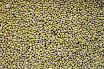 Green beans, mung beans close-up, background
