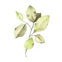 Fotobehang Aquarel tropisch groen bloemen blad plant bos kruid lente © madiwaso