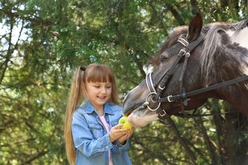 Cute little girl feeding her pony with apple in green park