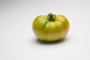 Tomate verde, cogido de la planta verde para que vaya madurando en la nevera y alargar el proceso de maduración y ganar días al mercado.