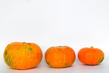 sweet pumpkins on white background