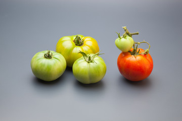 Tomate ecológico verdes y rojos que son los maduros, Los tomates tienen muchas propiedades de sabor y vitaminas. los podemos comer crudos en ensalada y zumos, podemos hacer salsas y mermeladas. Los po