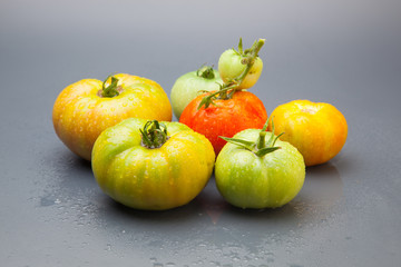 Tomate ecológico verdes y rojos que son los maduros, Los tomates tienen muchas propiedades de sabor y vitaminas. los podemos comer crudos en ensalada y zumos, podemos hacer salsas y mermeladas. Los po